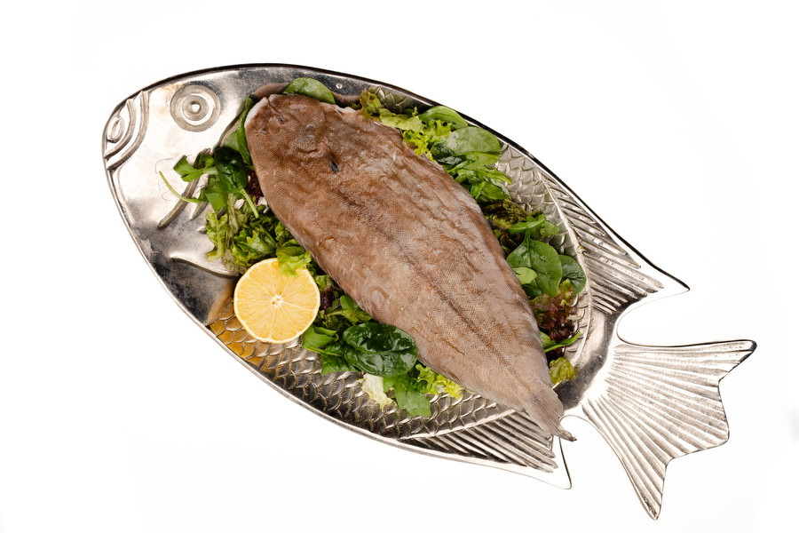 DOVER SOLE
